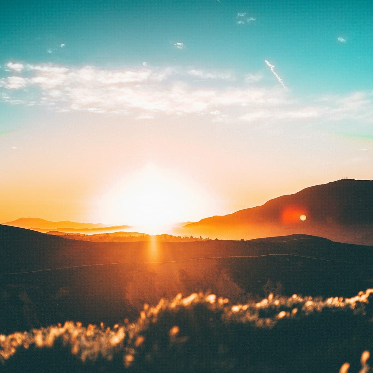 Couple reviewing financial plans